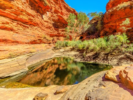 Australien_NT_Kings Canyon Watarrka Gart