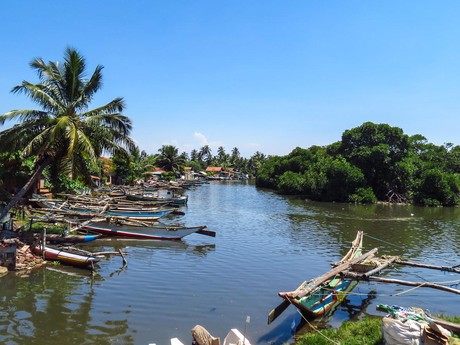die Lagune von Negombo