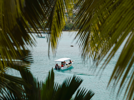 Tobago: Island Girl Tours