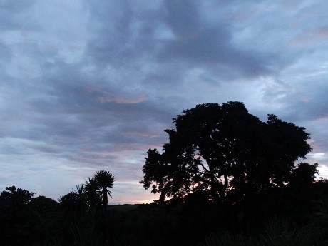 Monteverde Night Tour Sky
