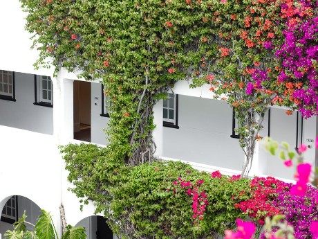 Exterior, The Winchester Hotel