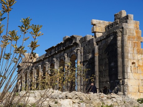 Volubilis
