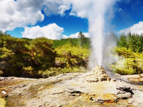 Neuseeland_Nordinsel_Rotorua_Lady Knox G