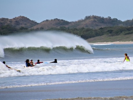 Tamarindo