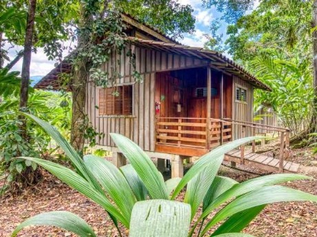 Selva Bananito Lodge - Holzcabana
