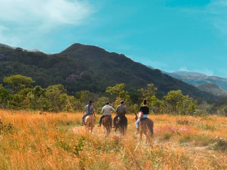 Horseback in Brazil