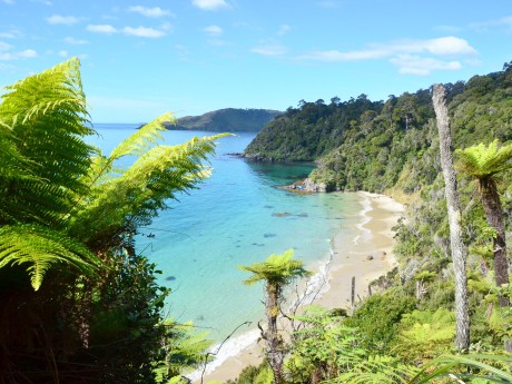 Neuseeland_Südinsel_Stewart Island_shutt