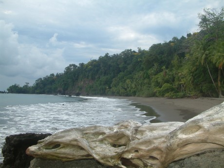 Casa Corcovado Beach 6