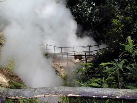 Rincon de la Vieja Old Bridge in Forest