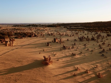 Australien_WA_Nambung NP Pinnacles