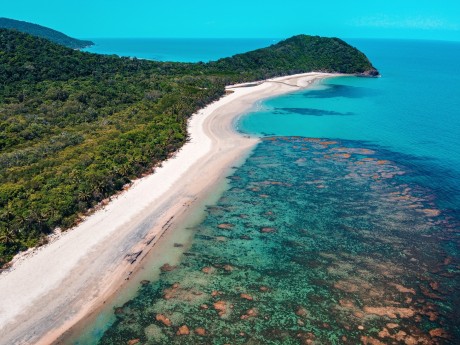 Daintree Rainforest, Cairns