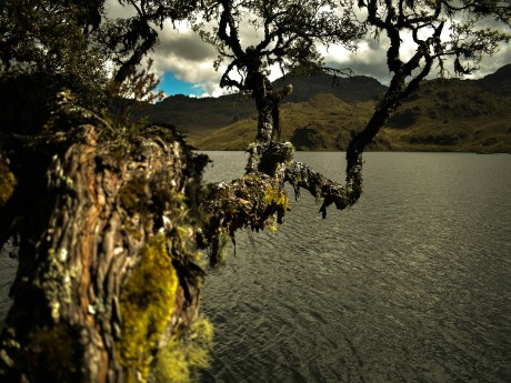 Cajas National Park