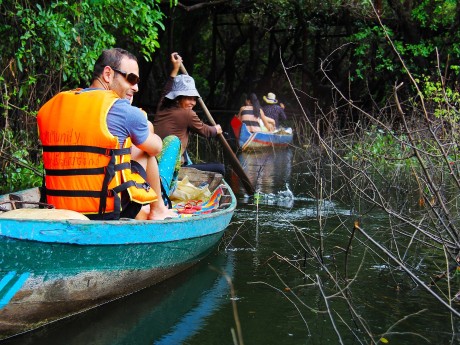 Boat Ride Mangrove