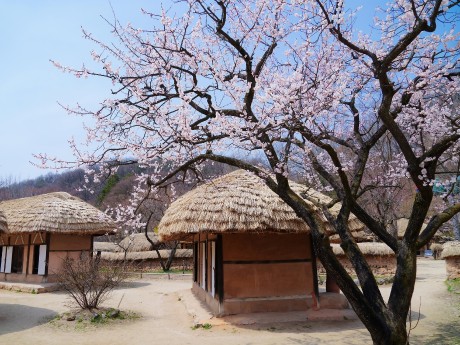 Korean Folk Village