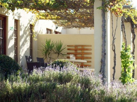Terrasse, Cultivar Guest Lodge