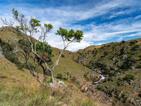 Südafrika_Eswatini_Malolotja Nature Rese