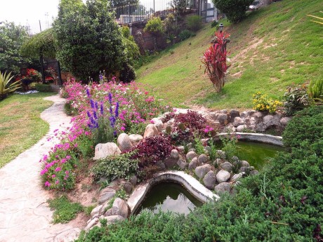 The Elgin Silver Oaks - Garten