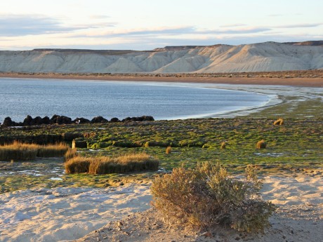 Argentinien Madryn Punta Loma