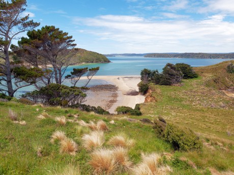 Neuseeland_Südinsel_Stewart Island_