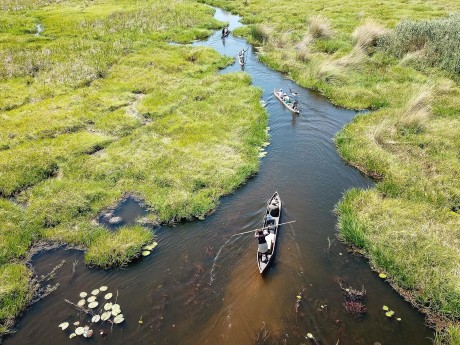Sunway Botswana Okavango Bruce Taylor
