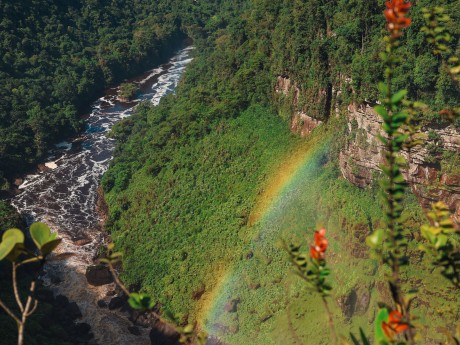 Potaro river windinng through the dense 