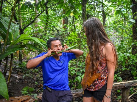 Bribri Culture Explaining Plants