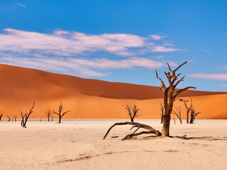 Namibia - Desert