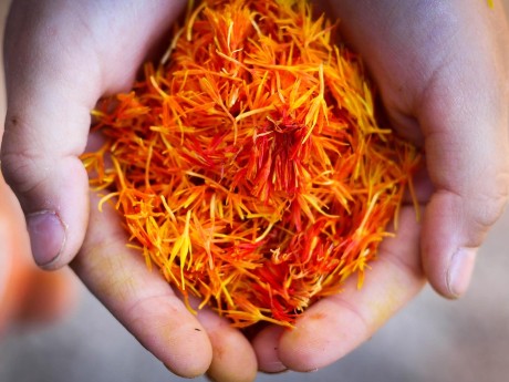 Saffron