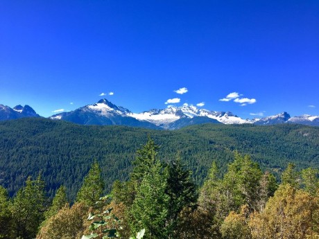 Nature in Whistler