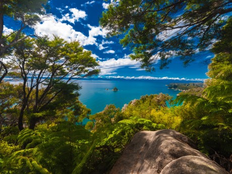 Neuseeland_Südinsel_Abel Tasman National