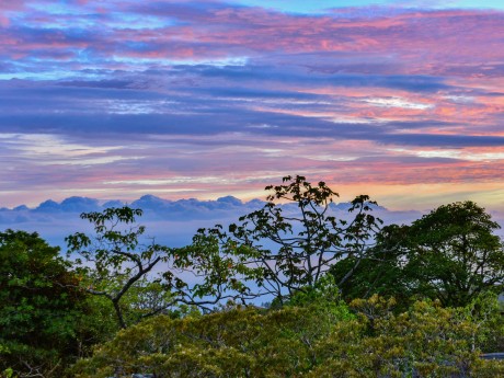 Monteverde Nationalpark