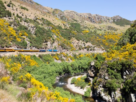 Neuseeland_Südinsel_Taieri Gorge Railway
