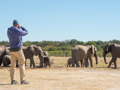 Sunway Zimbabwe Hwange NP Bruce Taylor-0