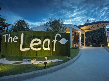 Eingang, The Leaf on the Sands