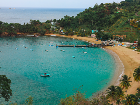 Tobago: Island Girl Tours
