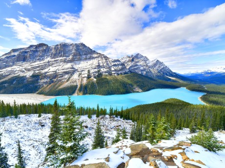 Canada - Banff National Park- Peyto Lake