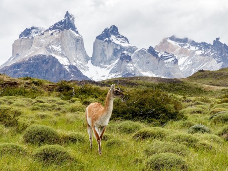 Torres de Paine