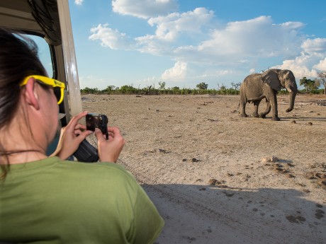 Sunway Botswana Savuti Bruce Taylor-3804