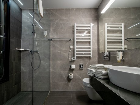 Dusche, Hotel Paris