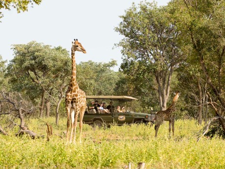 Sebatana Lodge_Südafrika_matswani game d