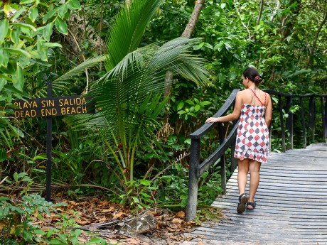 Cahuita National Park Trails