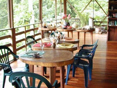 Selva Bananito Lodge - Restaurant
