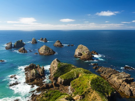 Neuseeland_Südinsel_Otago_Catlins_Nugget