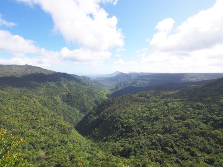 Wild South West_Mauritius_XMUMUSHLN4_131
