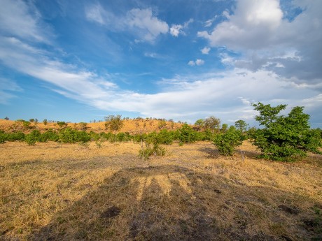 Sunway Botswana Savuti Bruce Taylor-7480