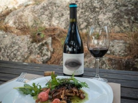 Olive plantation lunch