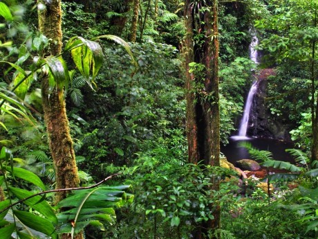 Monteverde Cloud Forest Res. Waterfall