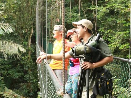 Tirimbina Rainforest Lodge - Bridge II