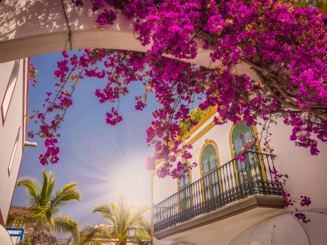 Gran Canaria Puerto de Mogan