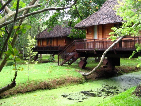 Kumarakom Greenery